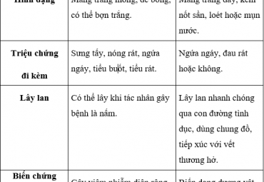 mang-trang-o-duong-vat-do-viem-nam-hay-benh-tinh-duc-cach-phan-biet