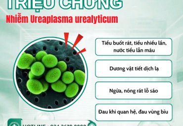 ureaplasma-urealyticum-la-benh-gi-canh-bao-vi-khuan-tham-lang-gay-vo-sinh