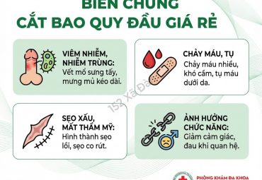duoi-2-trieu-cho-mot-ca-cat-bao-quy-dau-du-hay-thieu-cho-an-toan