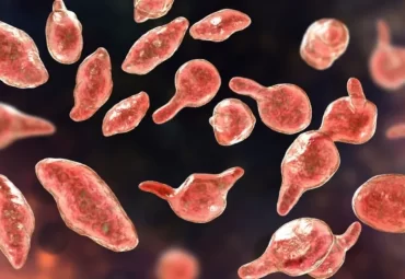 canh-bao-nhiem-mycoplasma-genitalium-qua-duong-tinh-duc-de-mac-kho-nhan-biet